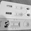 금샘동물병원 이미지