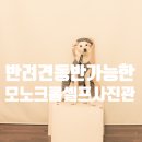 모노크롬스튜디오 이미지