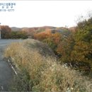 곤지암읍-11 이미지