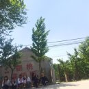 연태농장 이미지