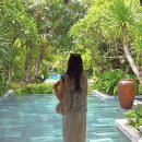 꽃보다당구장 | 나트랑 더아남 리조트 디럭스 트윈룸 내돈내산 솔직 후기