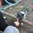 아이켄(I CAN) 이미지