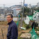 세구지 이미지