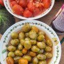 낙원농장2 이미지