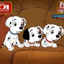 5959 내강아지 이미지