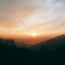 도그라이프 | 도그라이프 입니다