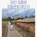 비에이치씨치킨제천청풍점 | 제천 청풍호 아이랑 가볼만한곳 | 청풍문화재단지 후기