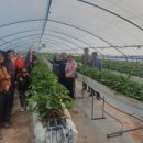 이성우농장 이미지