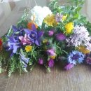 라임나무 이미지