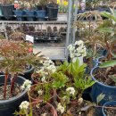 용달농장 | 플라워디렉팅ㅣ킨더살몬 아카이브세일 플라워디렉팅3(브랜드행사,이벤트플라워,고기리농장)