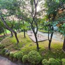 신기골프연습장(실외) 이미지