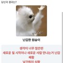 백년서점 이미지