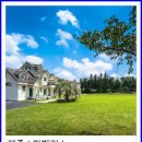 스파벨리스 이미지