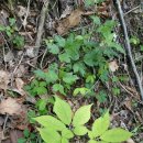 저두농장 이미지