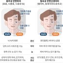 성모건강 - 13205 | 성모건강