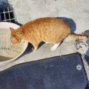 요섭농장 이미지