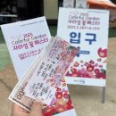 2098 | 주말, 연휴에 가볼만한곳 Colorful Garden 자라섬 꽃 페스타