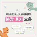 부산고양이분양 그린캣 | 부산고양이분양 퍼스트캣 부산점의 고양이 분양 후기