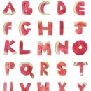 둥글리다 이미지