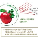 (주)탑프레쉬 이미지