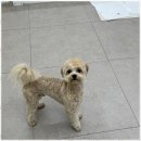 사계절, 멍 이미지