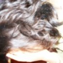 가고파안경 이미지