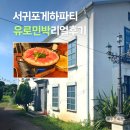제주도게스트하우스 유로민박 | 서귀포 표선 게하파티, 제주도게스트하우스파티유로민박