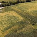 대두농장 이미지