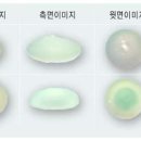 고은의원 이미지