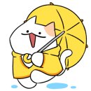 상남과일 이미지