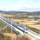 개나리마을 이미지