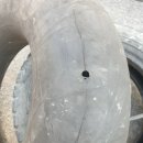 매바위로 이미지