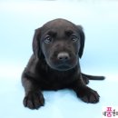 강서메디칼서비스 이미지