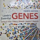 [의약유전학] Essential of Genes (Lewins) 4판 이미지