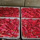 한백농장 이미지