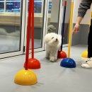 고잔유치원 이미지