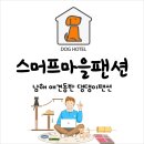 스머프 마을 | 바다가 한눈에 펼쳐지는 애견동반 남해 스머프마을팬션 이용후기