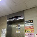 더브로우바303