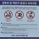 장호비치캠핑장 | 삼척 장호비치캠핑장 C17 후기