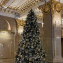 더샤인한스의원 | 롯데호텔 라세느 뷔페 서울 본점 주말 런치 후기 델리카한스 예약 가격 주차