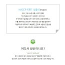 랑성오리 이미지