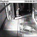 안동경찰서 본관 이미지