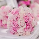 사과향기 이미지