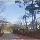 SK수부동산공인중개사사무소 이미지