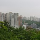 금호동사무소 이미지