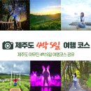 주정차단속-41 | [공지] 제주도 4박 5일 여행 코스(일정표) 공유, 여행기