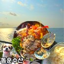 부안 변산반도 채석강 맛집 동훈수산 애견동반식당 내돈내산 후기