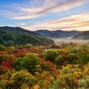 자연장지 이미지