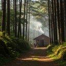 대나무로 만드는 일상의 물건 : 네모눈바구니 만들기 | 필리핀 바기오의 숨결을 엮다: 원주민과 함께한 바구니 공예 체험