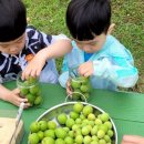 다숲어린이집 - 수원시 권선구 | 다숲어린이집